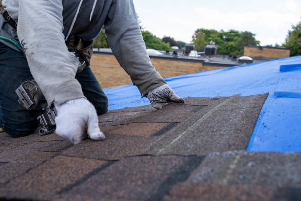 Best Commercial Roofing Services  in Breese, IL