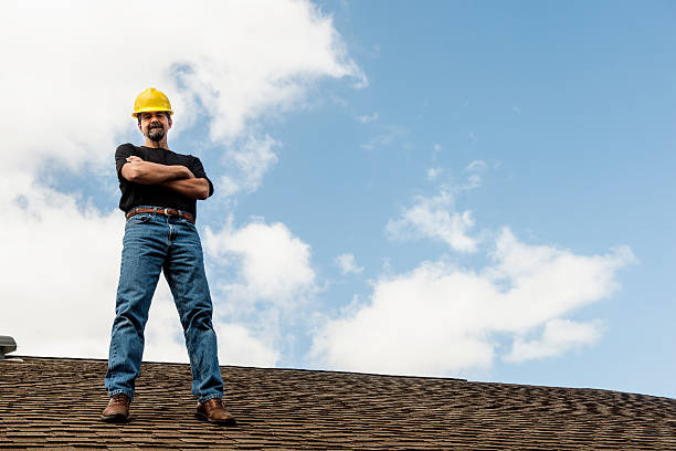 Roof Gutter Cleaning in Breese, IL
