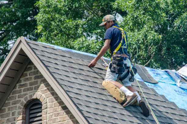 Best Residential Roofing Contractor  in Breese, IL